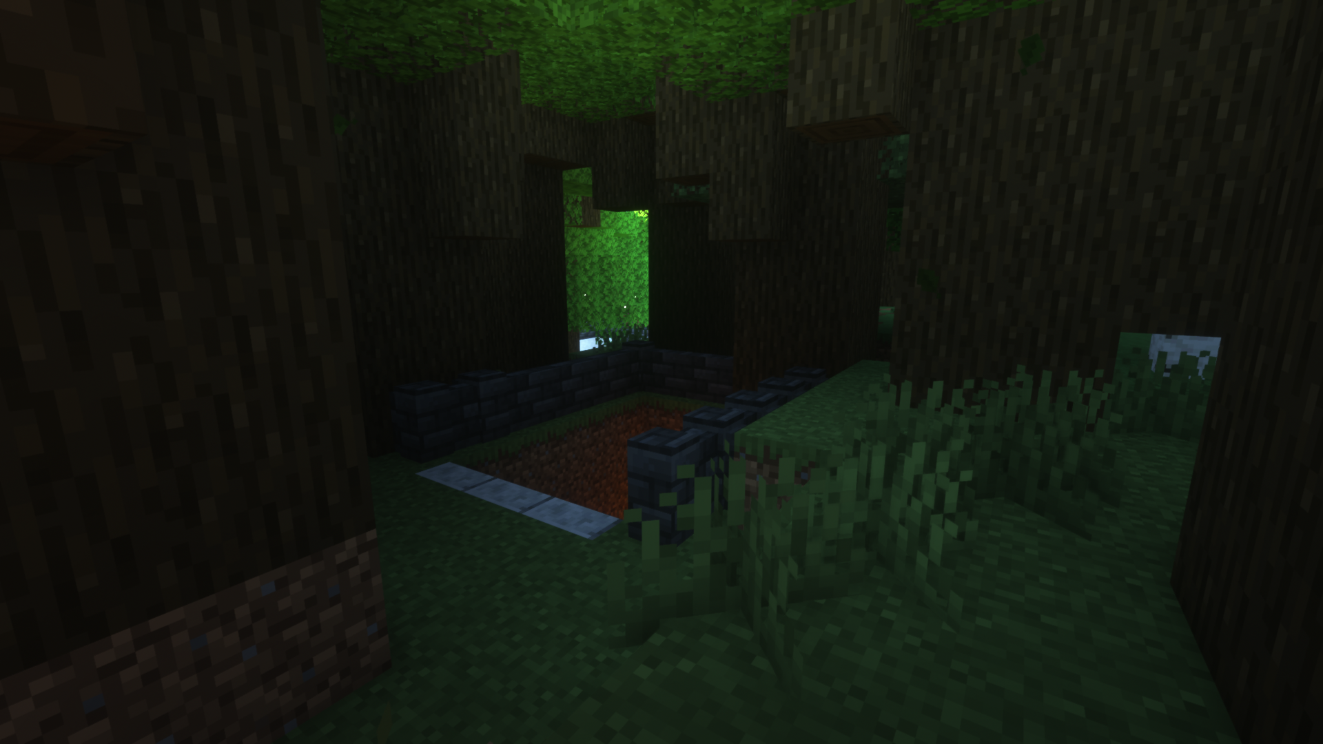 Forest Path